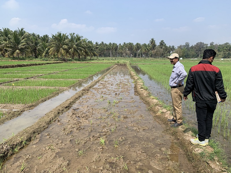 He said the use of biochar could help decrease the use of chemical ...